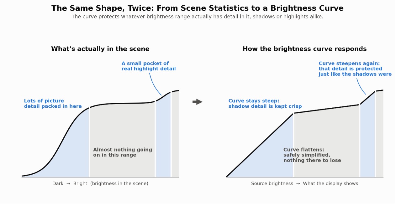 The same shape appears twice: a map of where a scene's detail actually is, and the brightness curve shaped to match it, including a small protected pocket near the top of the highlight range.